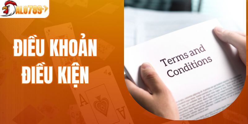 Điều Khoản Điều Kiện - Nội Dung Chi Tiết Cho Người Dùng